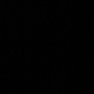 Meet your Posher, Ellie